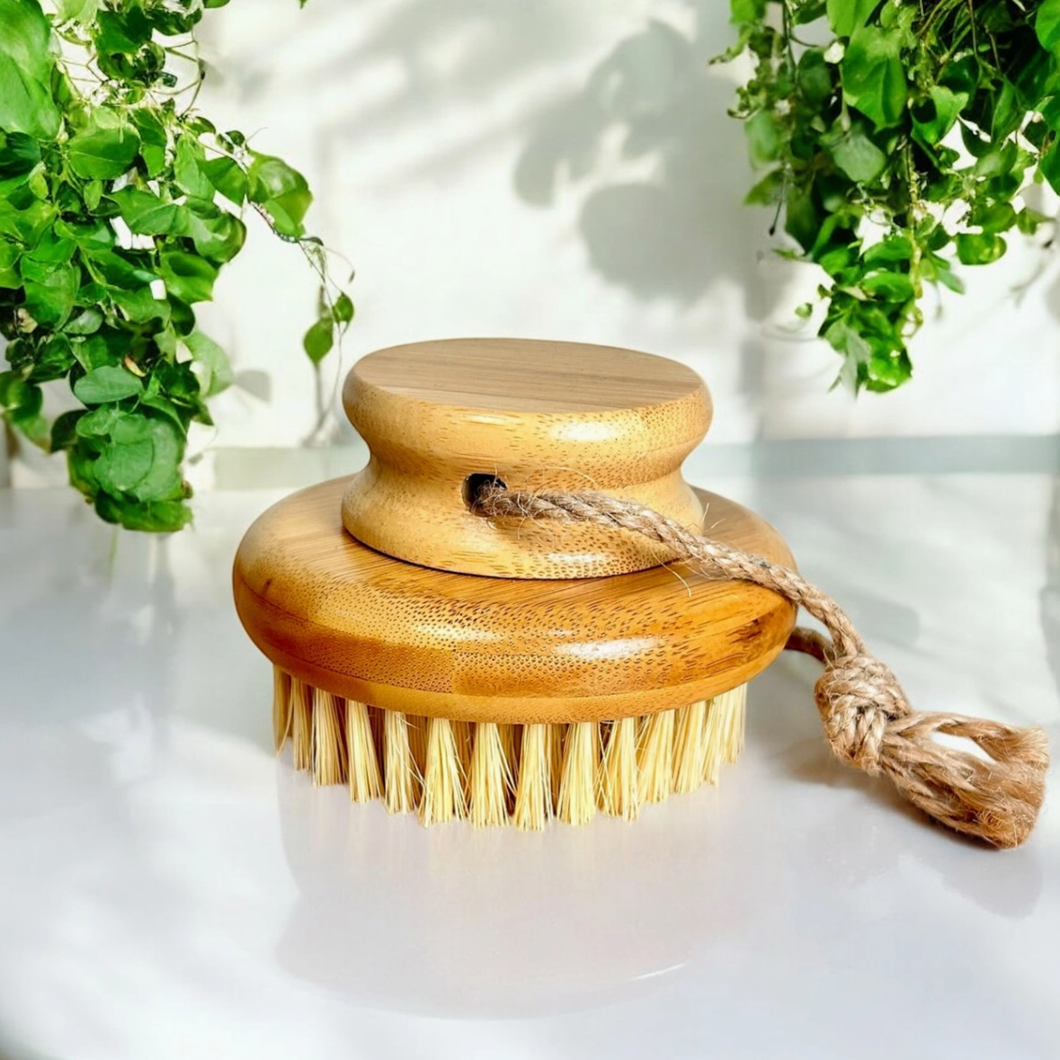 ROUND BODY DRY BRUSH