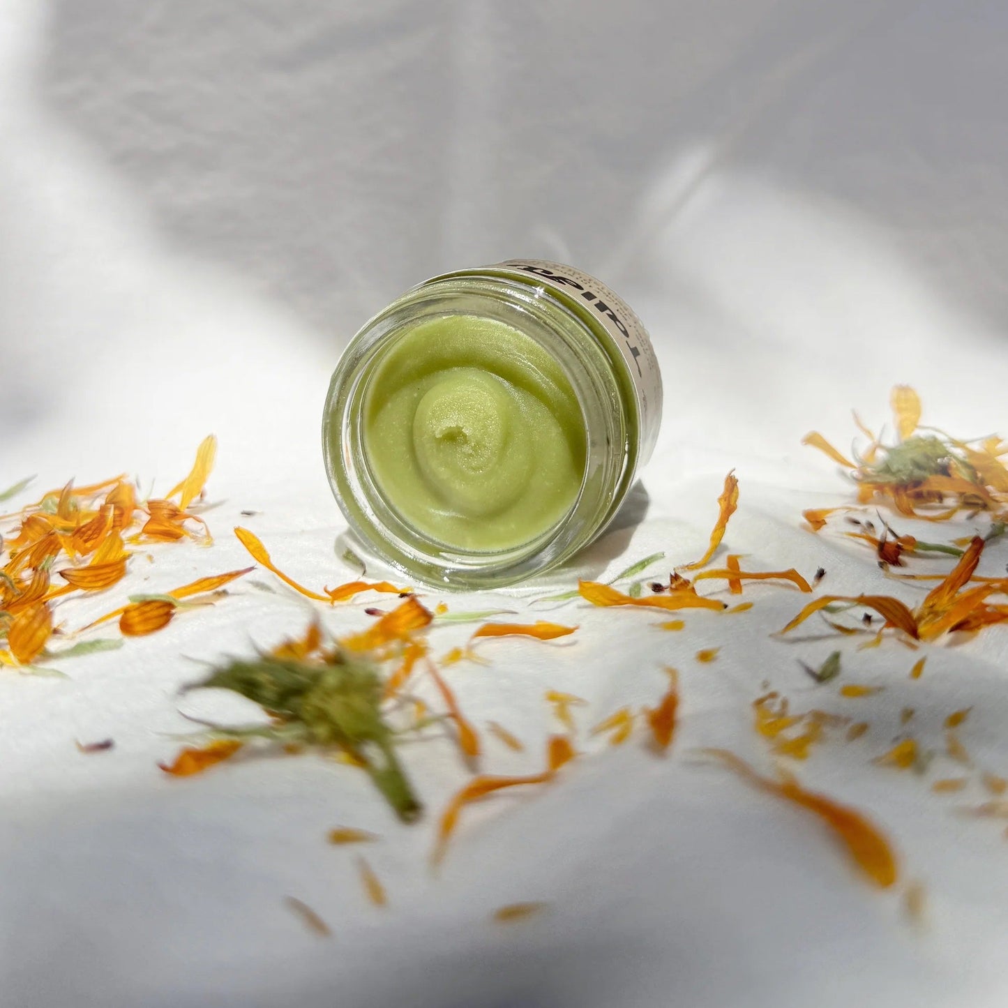 Small glass jar with green tallow love cream surrounded by calendula flowers on a white background