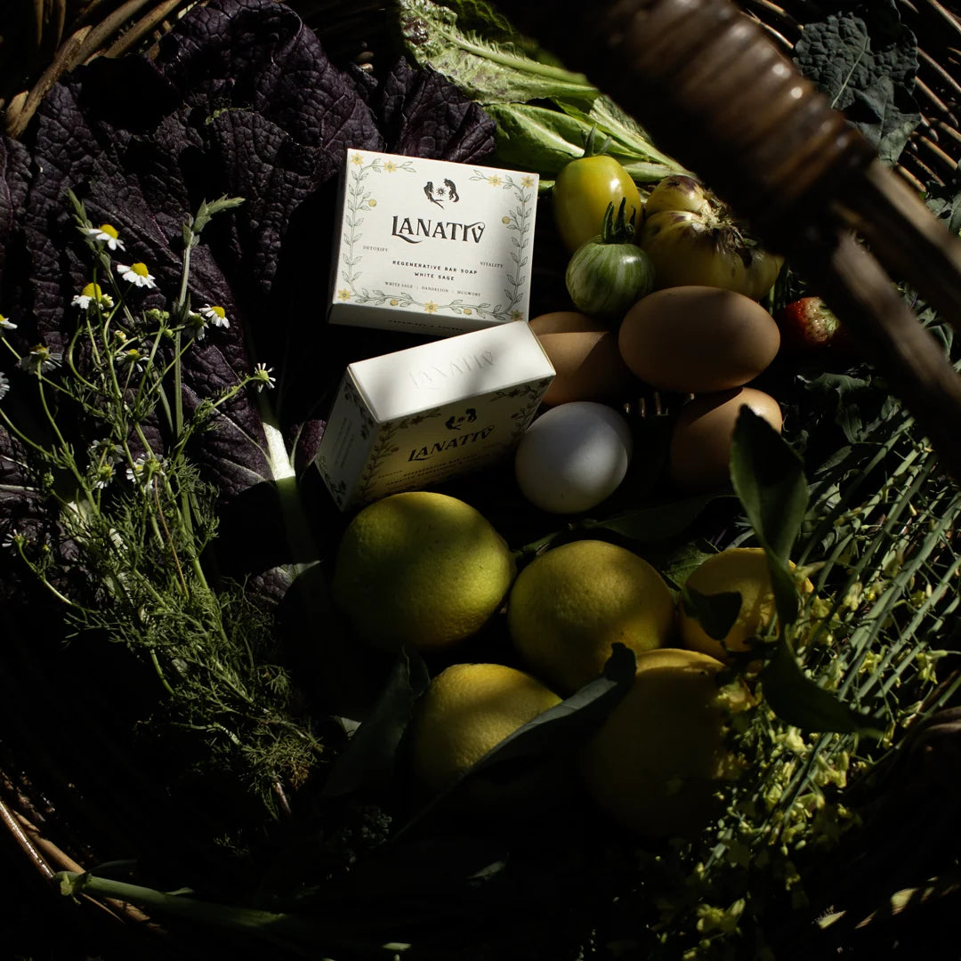 LANATIV FACE + BODY SOAP BARS