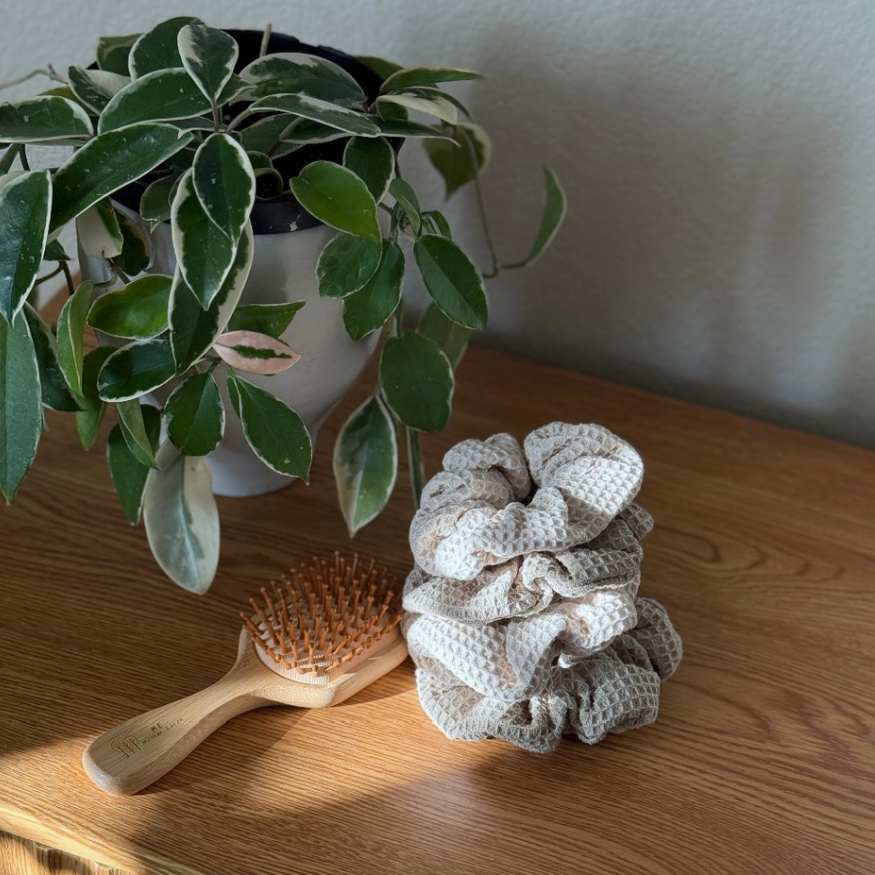 Scrubber, brush, and plant on a wooden surface