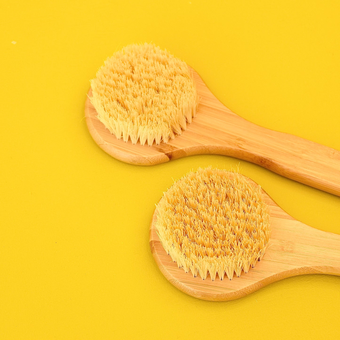 DRY BODY BRUSH - LONG HANDLE