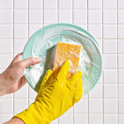 NATURAL SPONGE - TWO SIDED