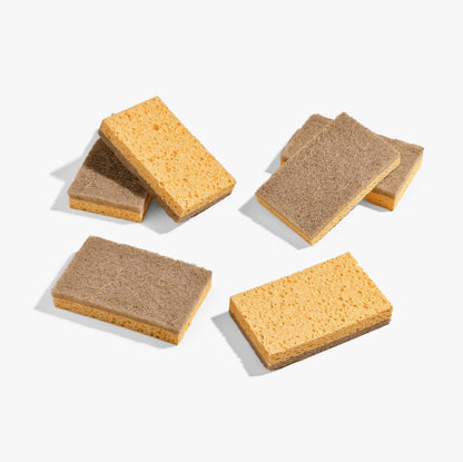 NATURAL SPONGE - TWO SIDED