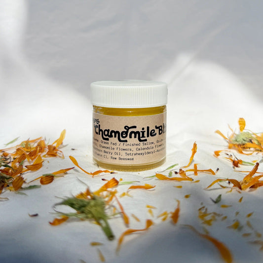 Jar of chamomile balm with dried chamomile flowers on a white background