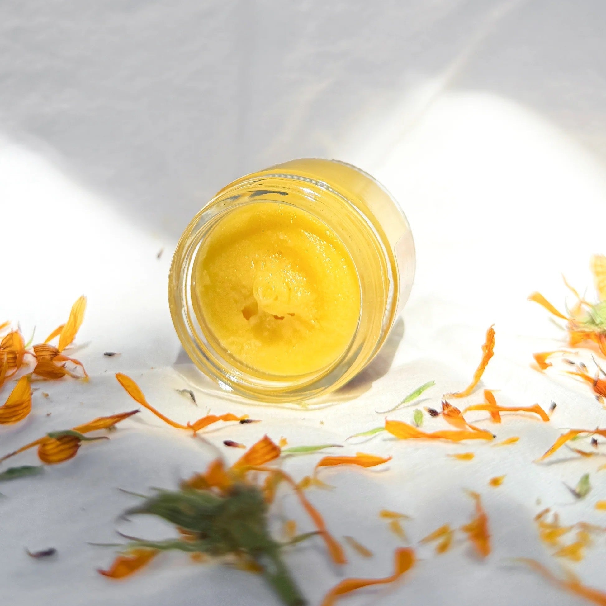 Jar of yellow tallow cream with calendula flowers on a white background