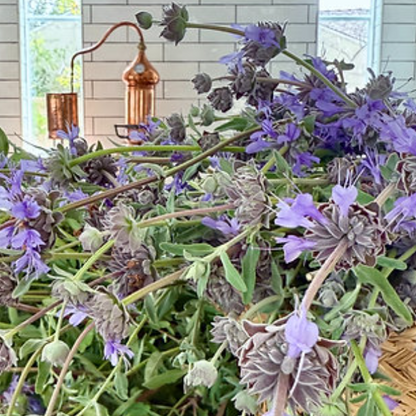 AMULET CLEANSING & PROTECTION HYDROSOL