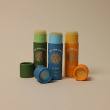 Load image into Gallery viewer, LIP BALM BY YAY FOR EARTH
