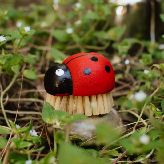 DISH OR NAIL LADY BUG BRUSH