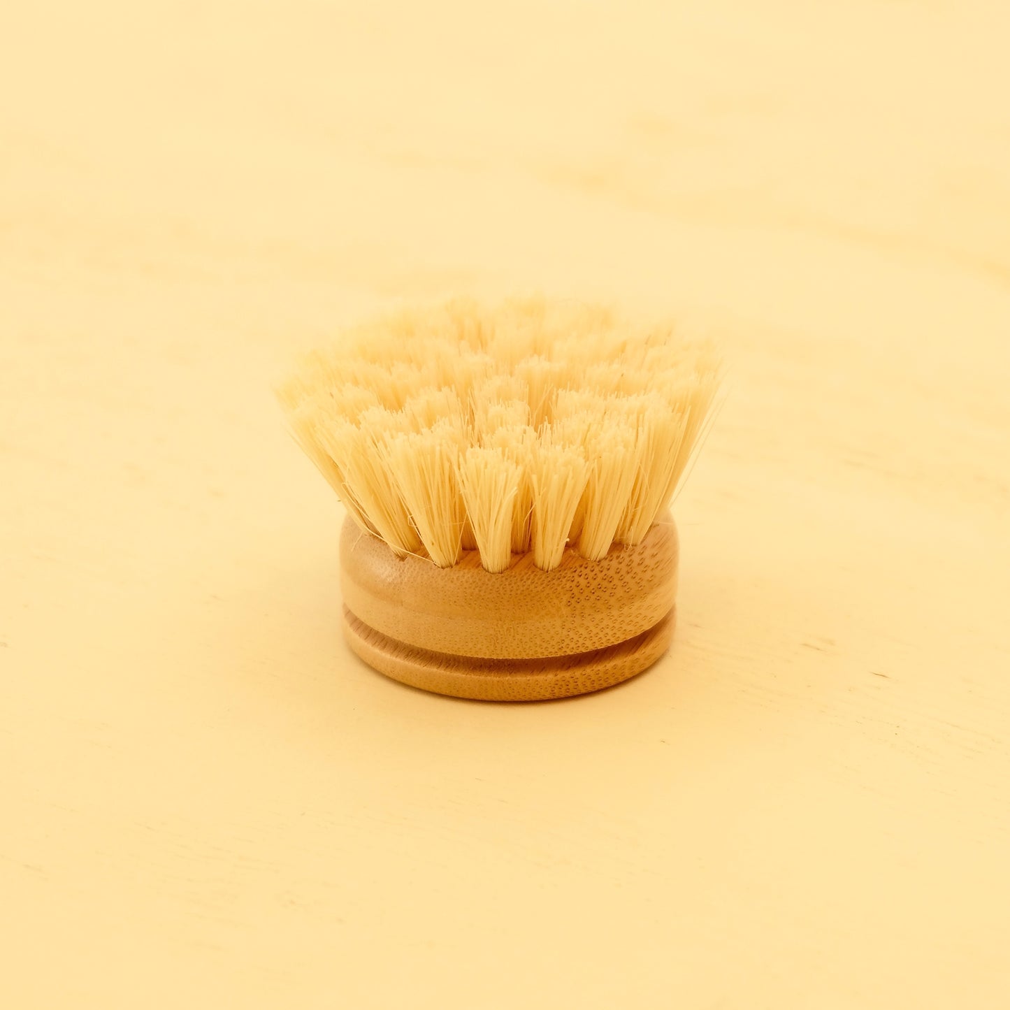 DISH BRUSH WITH HANDLE