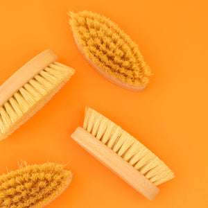 OVAL VEGGIE OR GENERAL CLEANING BRUSH